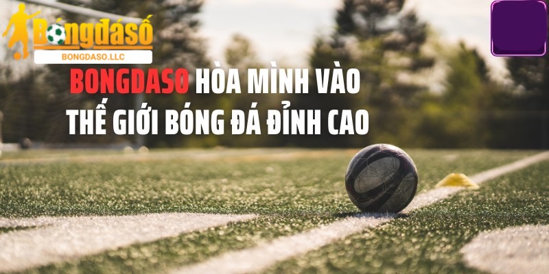 Bongdaso có thu phí sử dụng dịch vụ hay không?