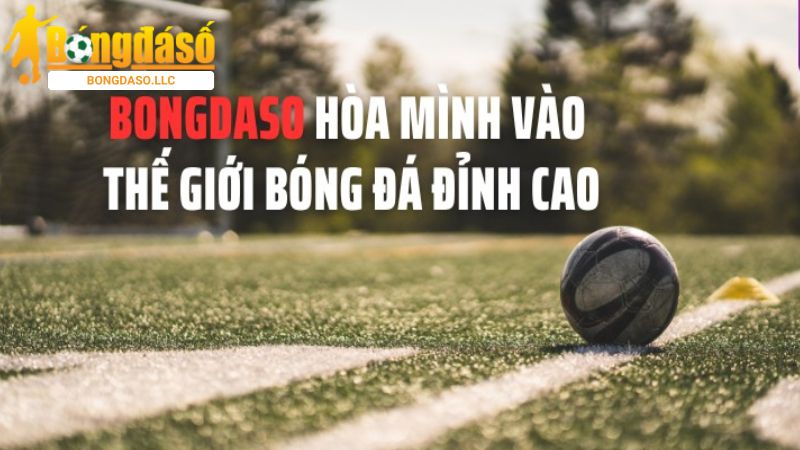 Định hướng của Sáng Persie cho trang web Bongdaso