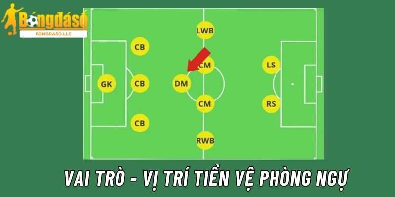 Vị trí hoạt động và vai trò chính của tiền vệ phòng ngự trong đội bóng 