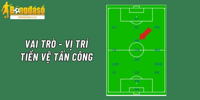 Vị trí hoạt động và vai trò chính của tiền vệ tấn công trong đội bóng