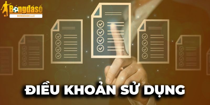 Tại sao người dùng cần tuân thủ điều khoản của Bongdaso?